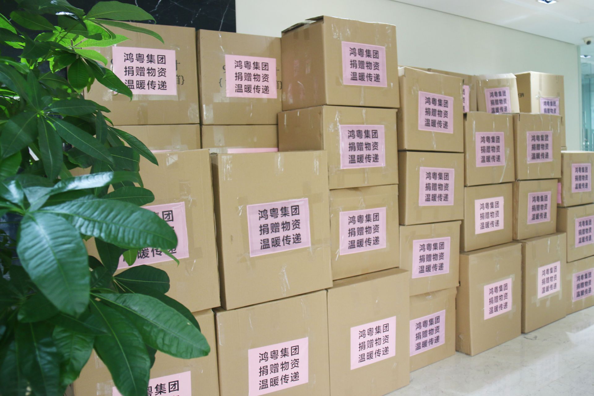 开云网页版·官方版在线登入-开云(中国)公益回顾丨家国同欢月同圆 温暖满载甘孜州(图1)